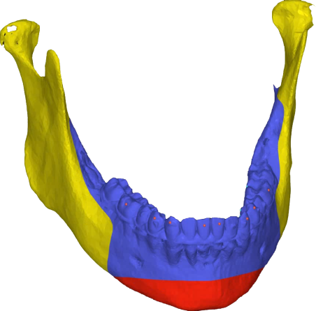 mandibula